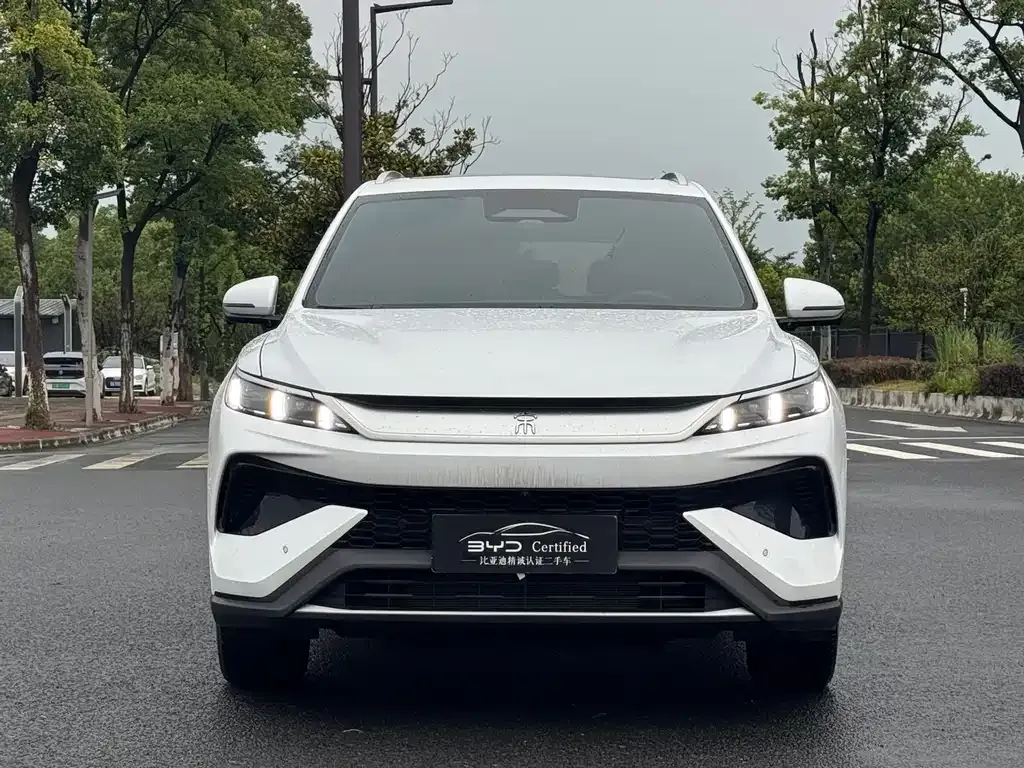 BYD Pro New Energy — фото 10