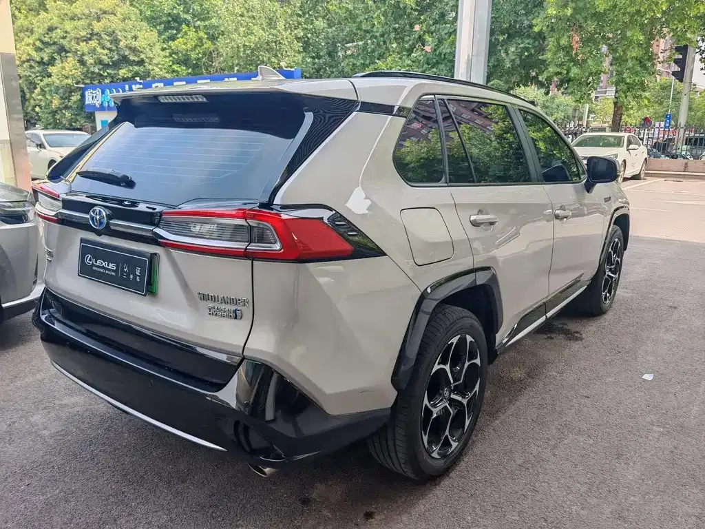 Toyota Wildlander New Energy — фото 10