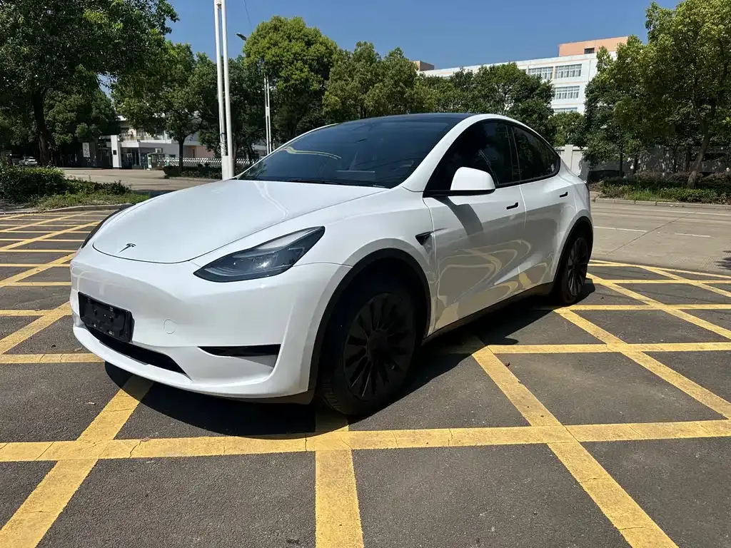 Tesla Model Y — фото 1
