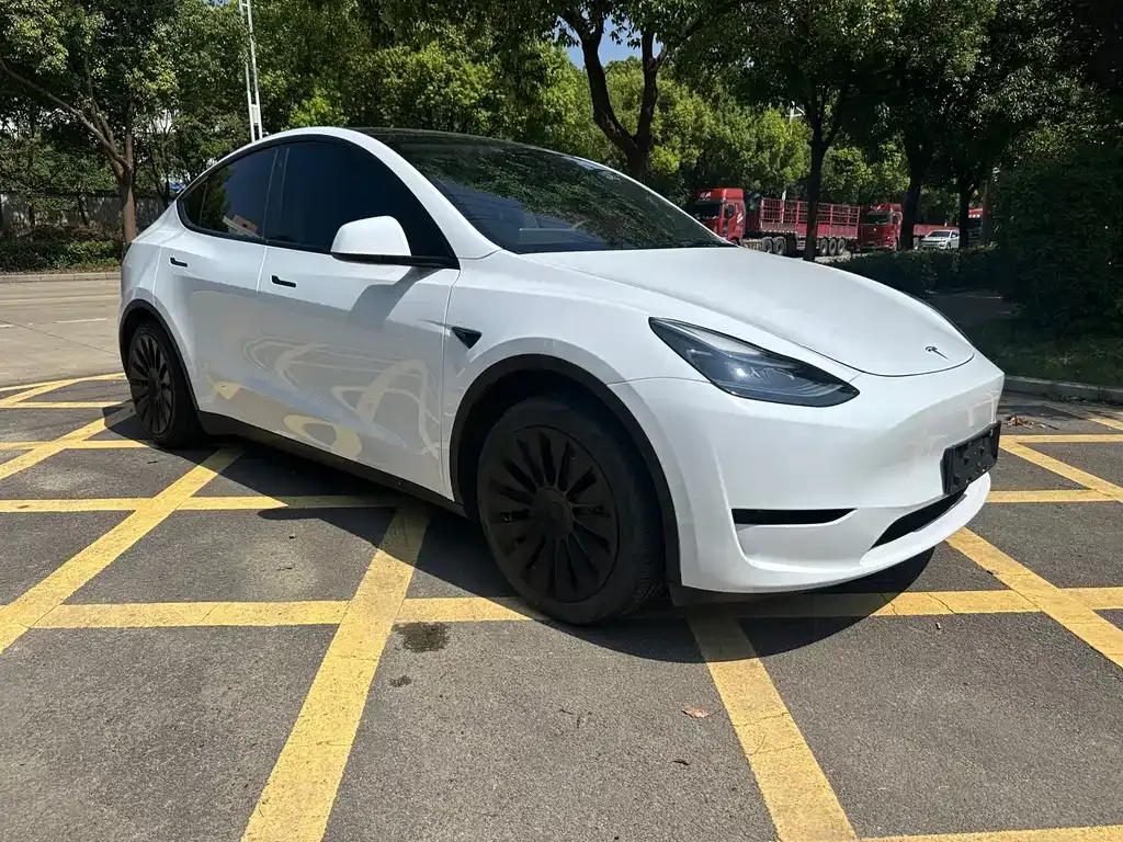 Tesla Model Y — фото 8