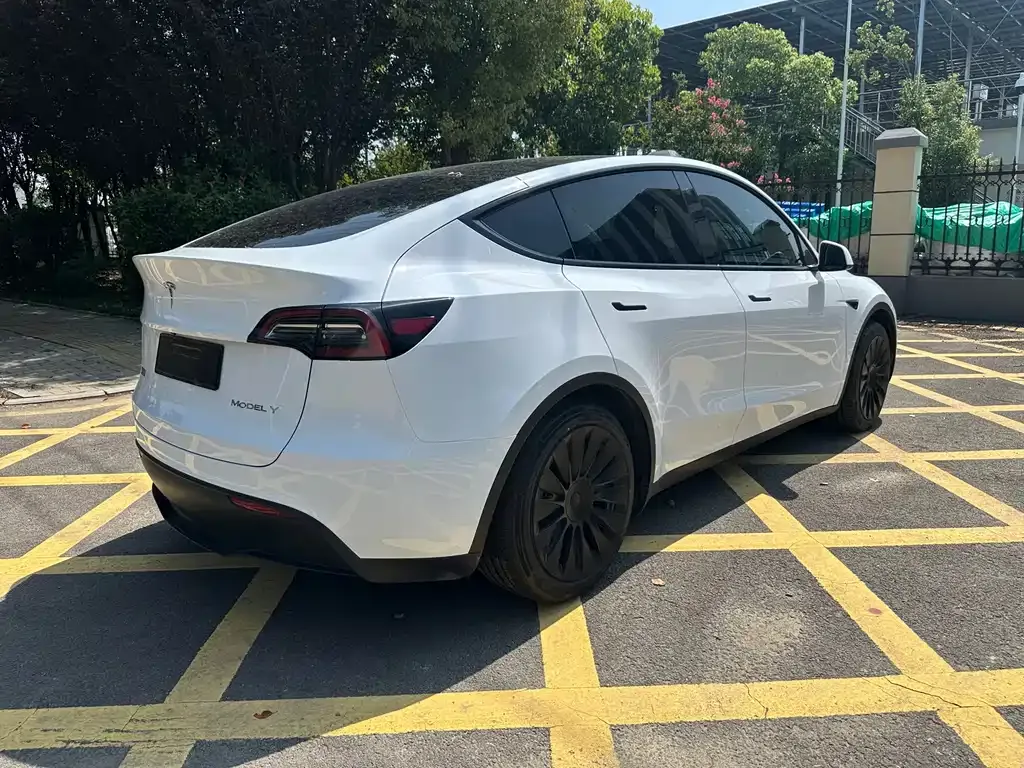 Tesla Model Y — фото 9