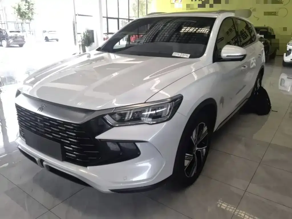 BYD Pro New Energy — фото 1