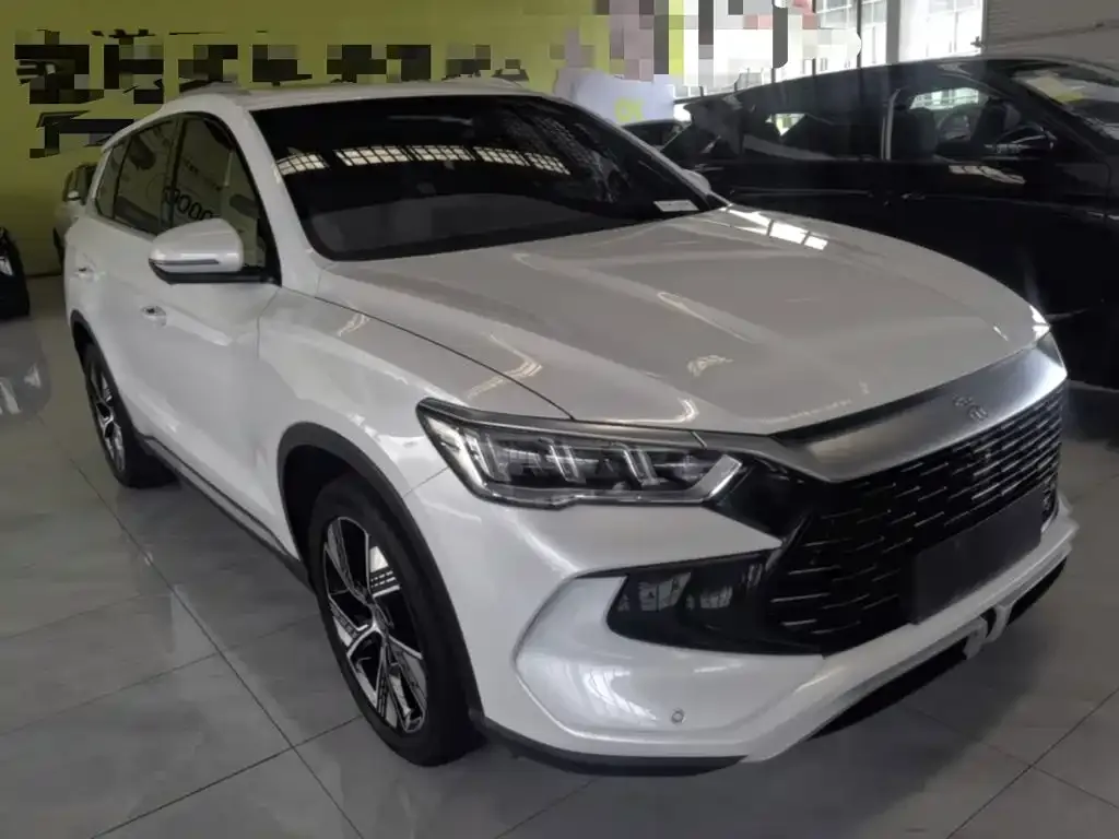 BYD Pro New Energy — фото 2