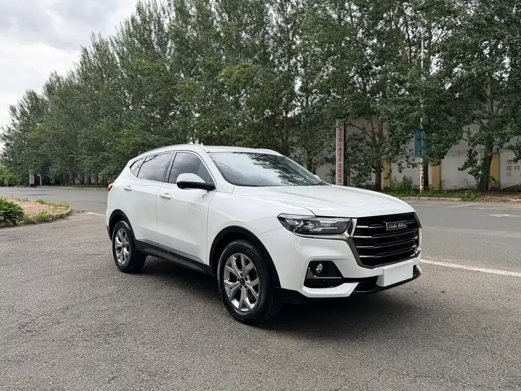 Haval H6 — фото 8