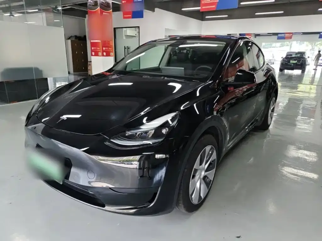 Tesla Model Y — фото 9