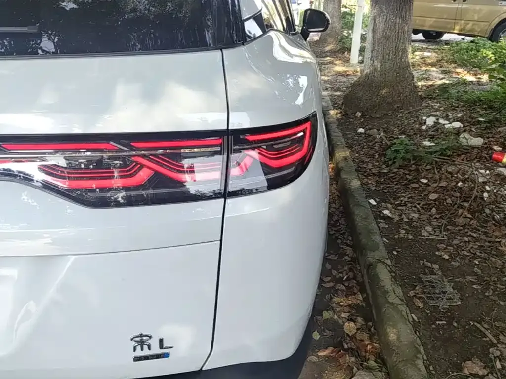 BYD L DM-i — фото 6