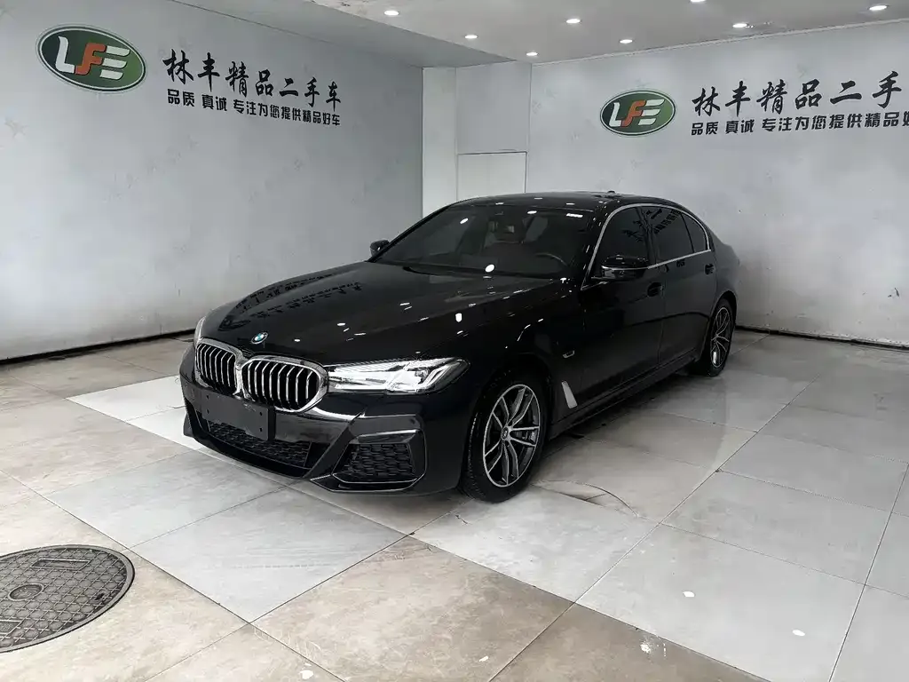 BMW 5 Series New Energy