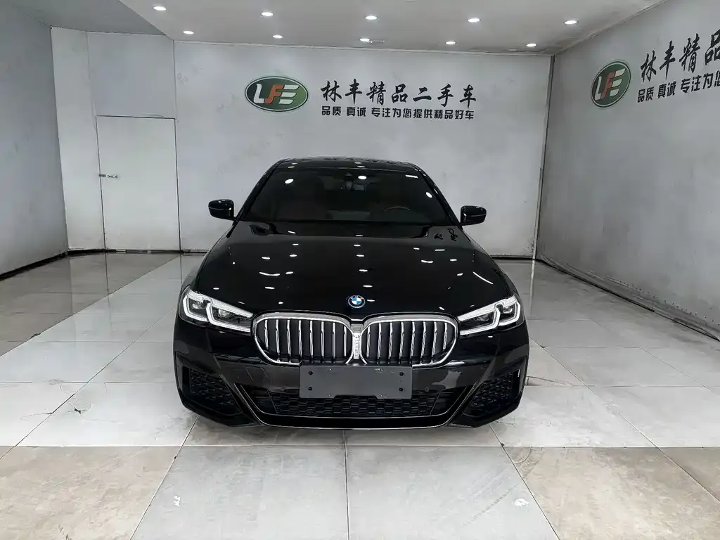 BMW 5 Series New Energy 2024 из CN, фото 6