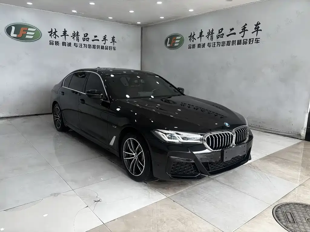 BMW 5 Series New Energy 2024 из CN, фото 2