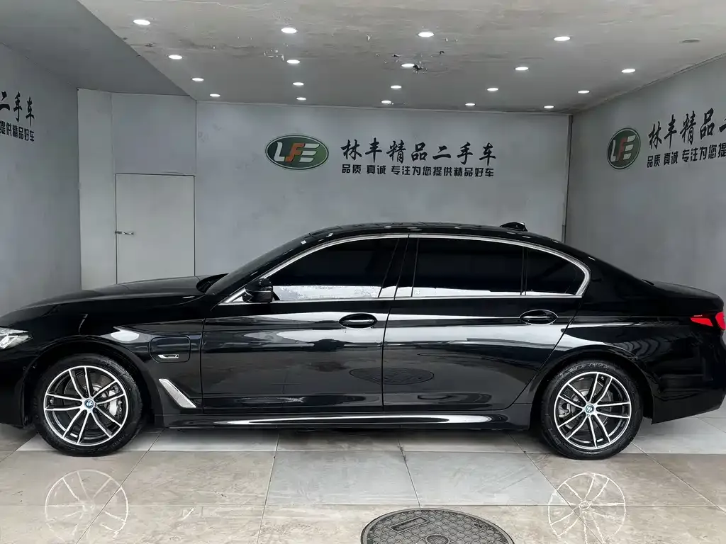 BMW 5 Series New Energy 2024 из CN, фото 7