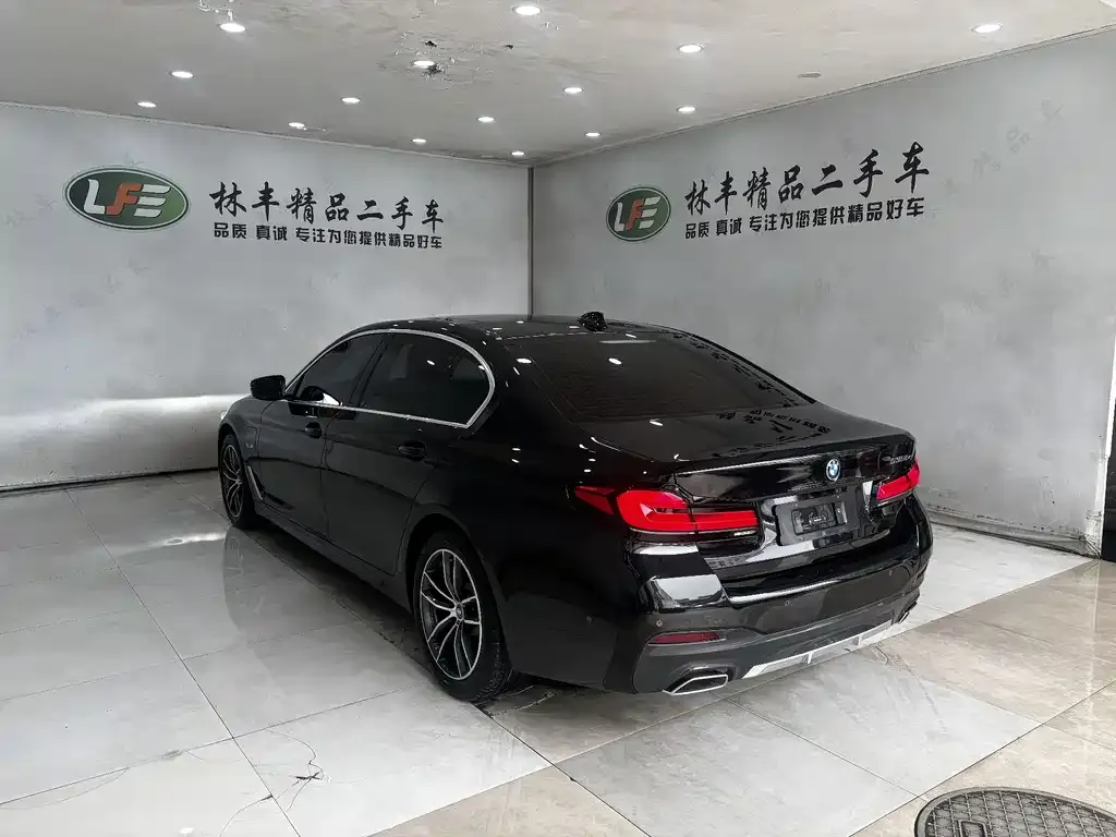 BMW 5 Series New Energy 2024 из CN, фото 10