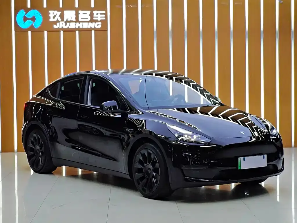 Tesla Model Y — фото 10
