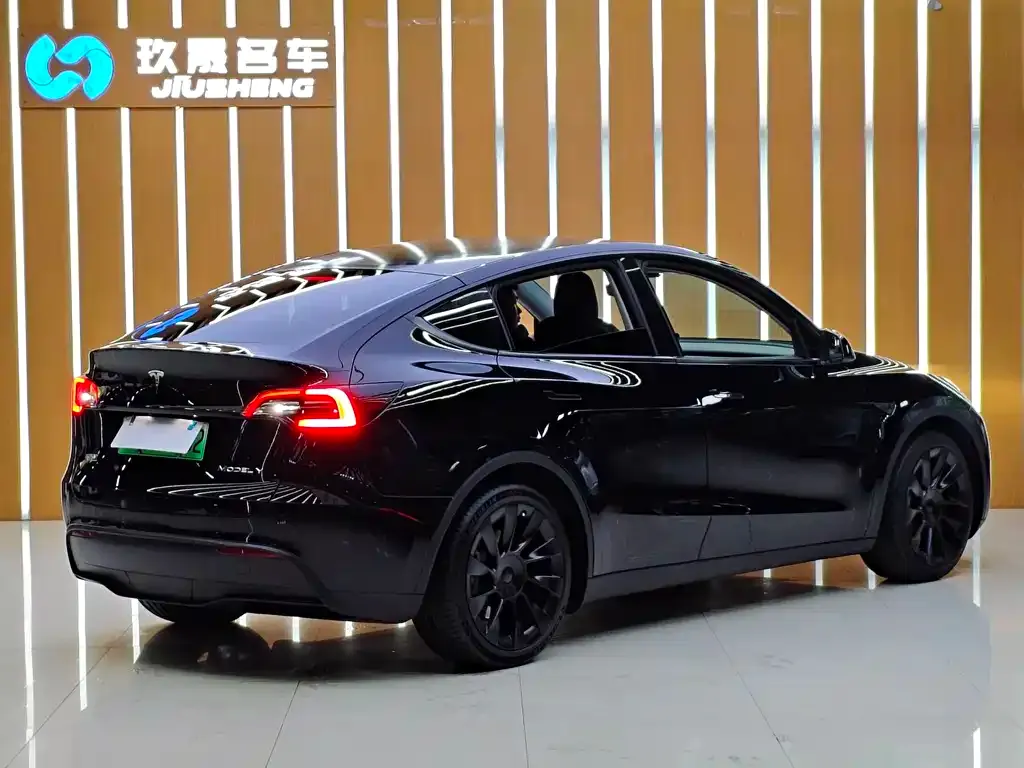 Tesla Model Y — фото 4