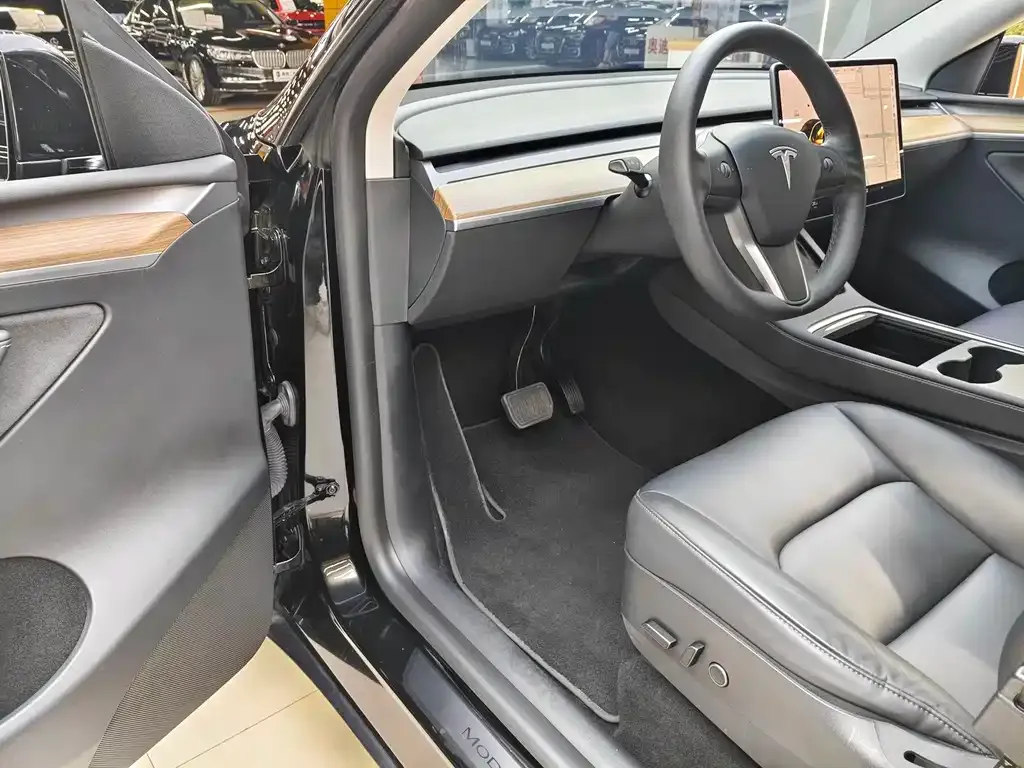 Tesla Model Y — фото 9
