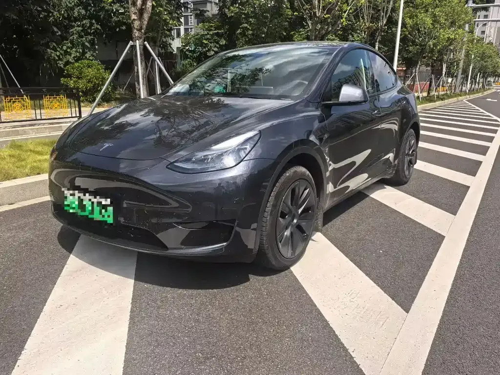 Tesla Model Y — фото 1