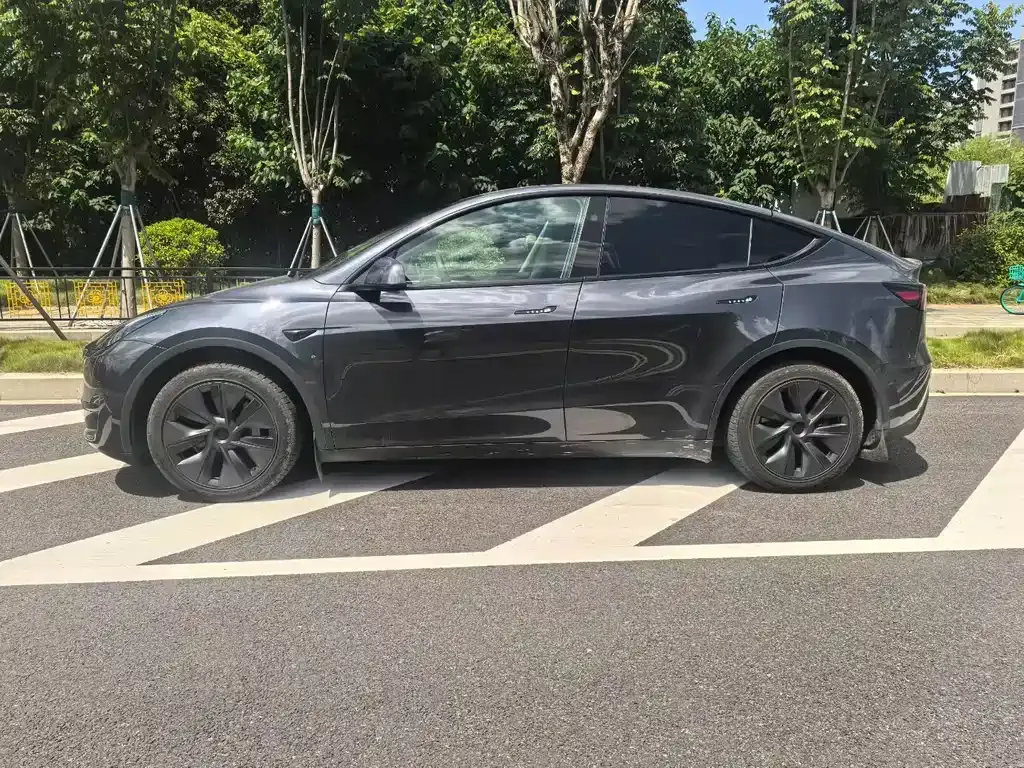 Tesla Model Y — фото 10