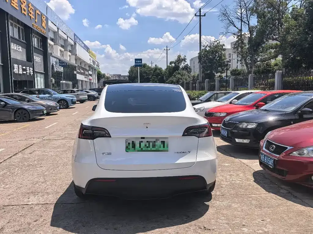 Tesla Model Y — фото 8
