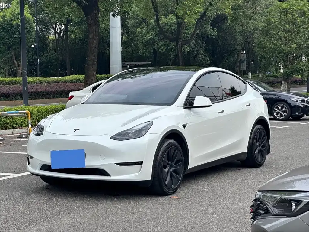 Tesla Model Y — фото 1