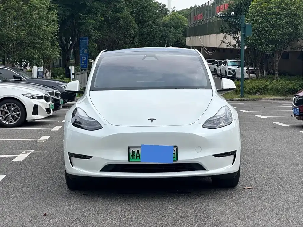 Tesla Model Y — фото 8