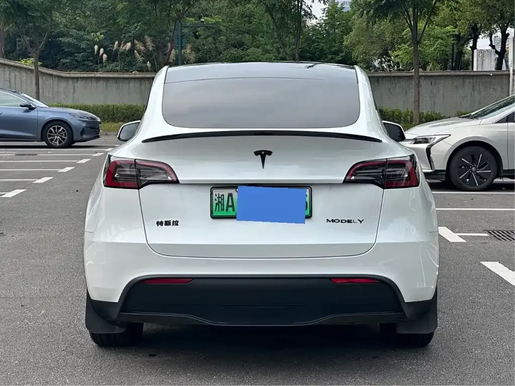 Tesla Model Y — фото 6