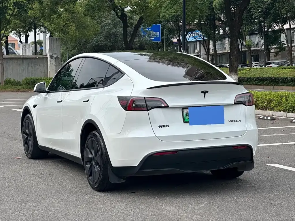 Tesla Model Y — фото 7