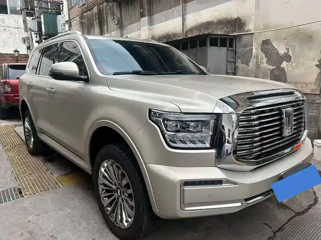 Tank 500 New Energy 2023 из CN, фото 2