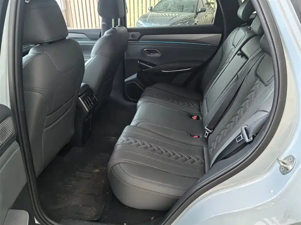 BYD L DM-i — фото 4
