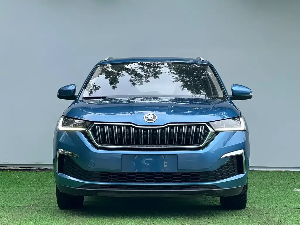 Skoda Kamiq — фото 8