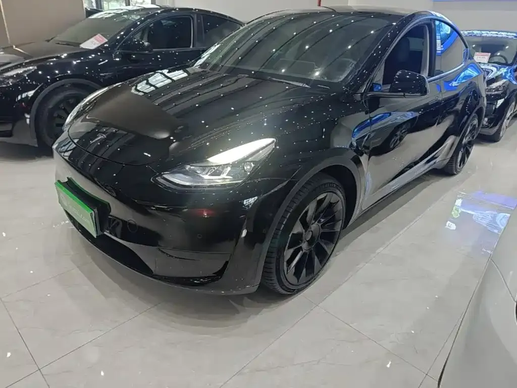 Tesla Model Y — фото 10