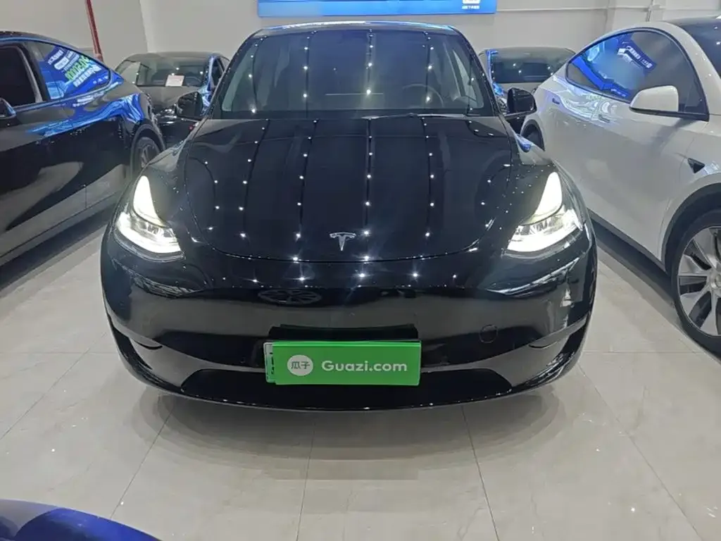 Tesla Model Y — фото 9