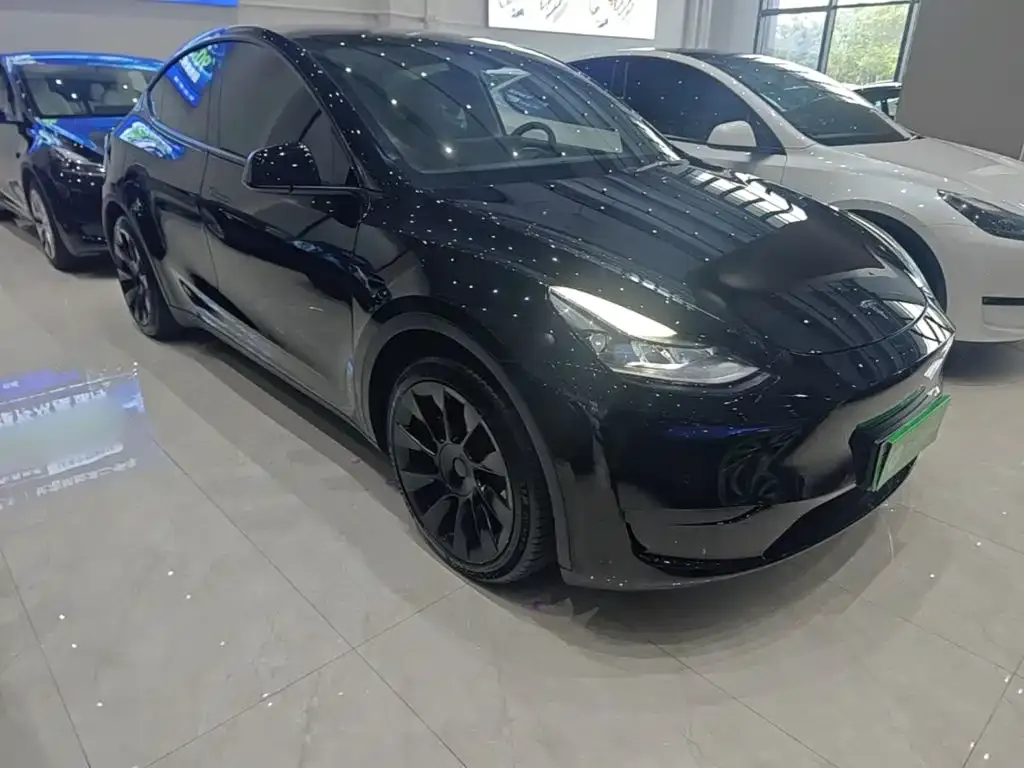 Tesla Model Y — фото 2