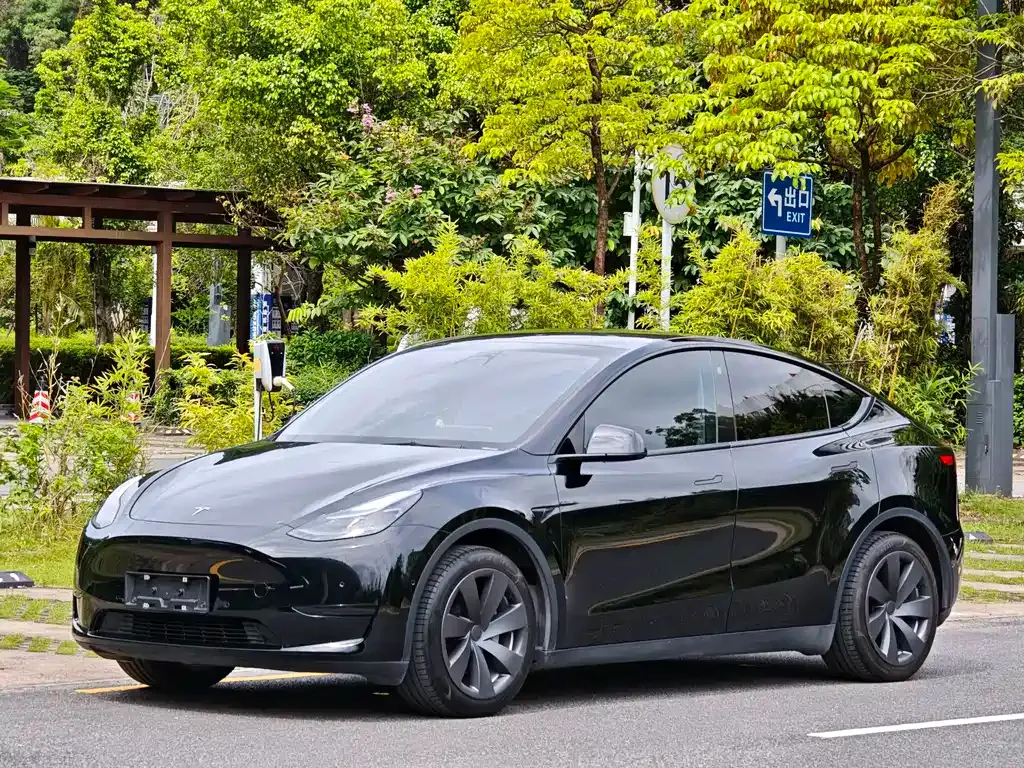 Tesla Model Y — фото 1