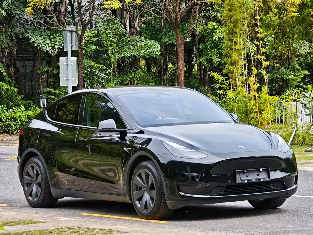 Tesla Model Y — фото 9