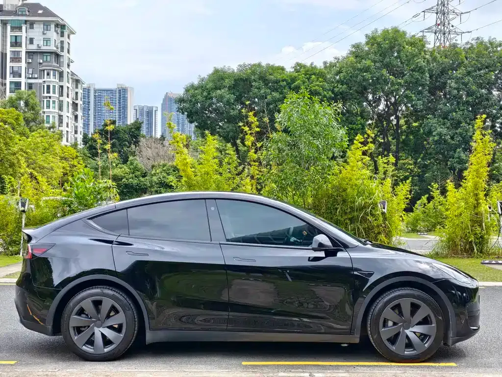 Tesla Model Y — фото 5