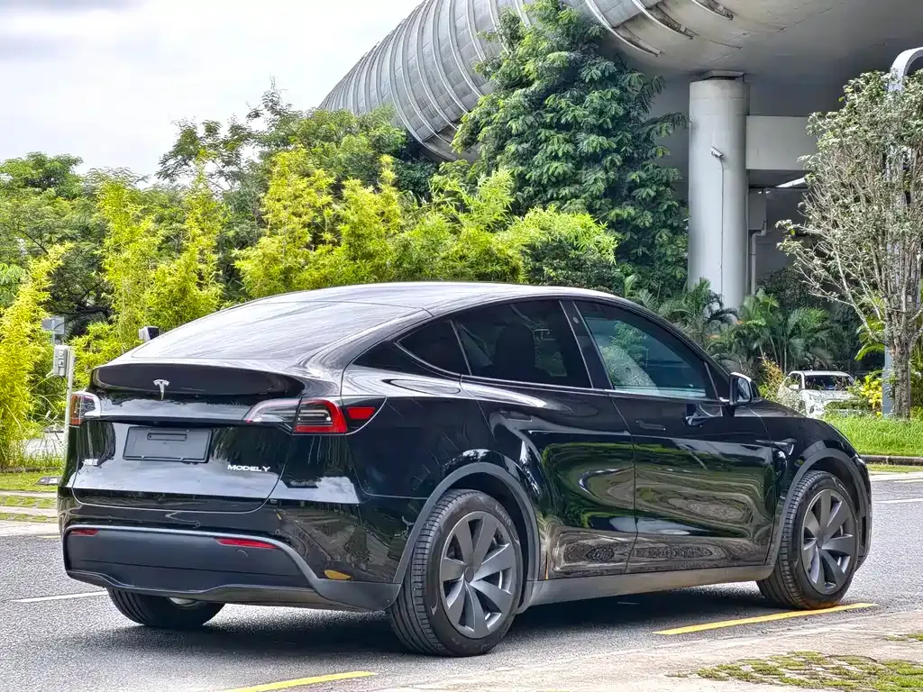 Tesla Model Y — фото 3