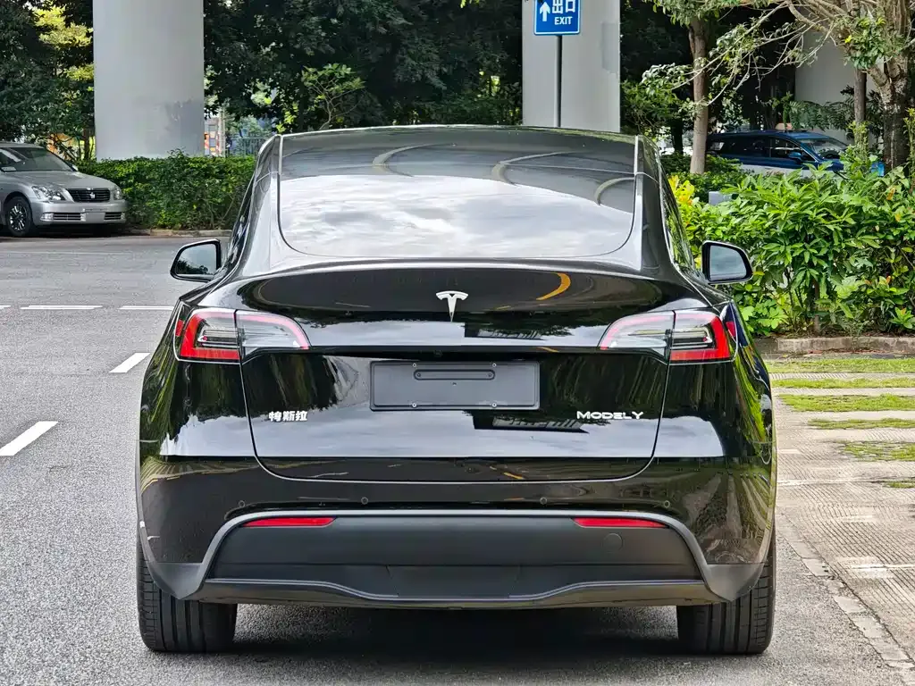Tesla Model Y — фото 2