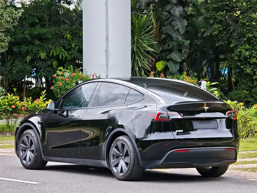 Tesla Model Y — фото 8