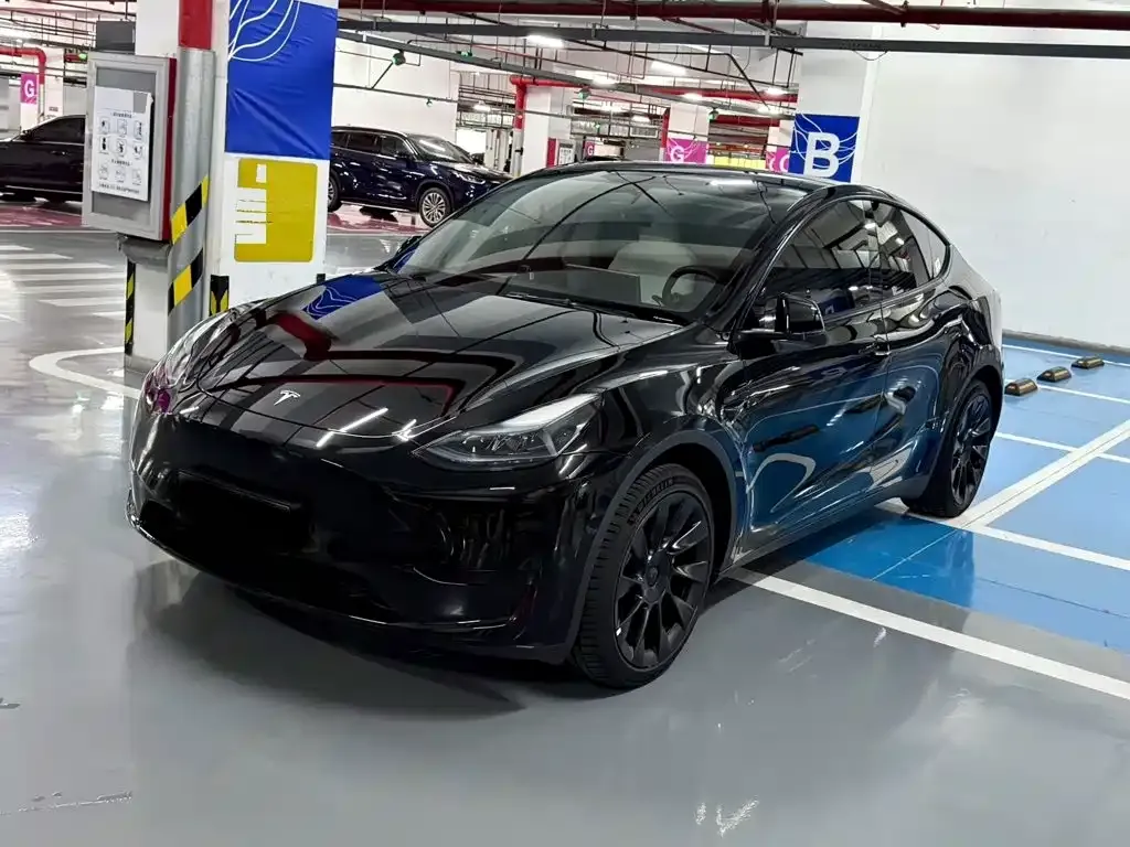 Tesla Model Y — фото 1