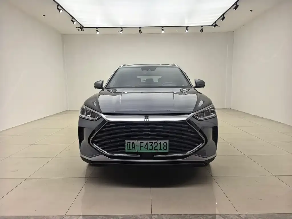 BYD PLUS New Energy 2023 из CN, фото 3