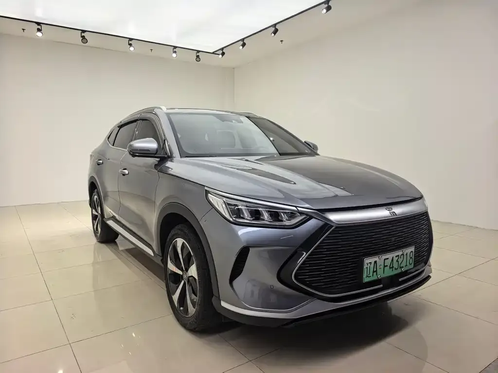 BYD PLUS New Energy 2023 из CN, фото 2