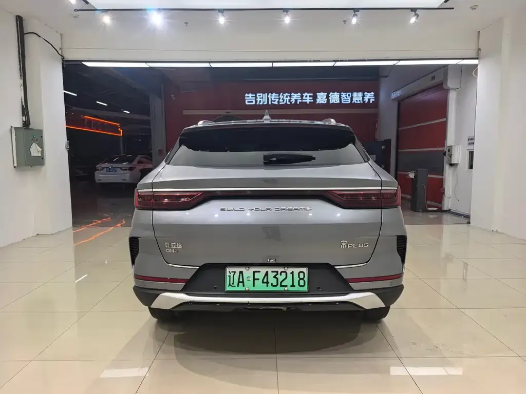 BYD PLUS New Energy 2023 из CN, фото 4