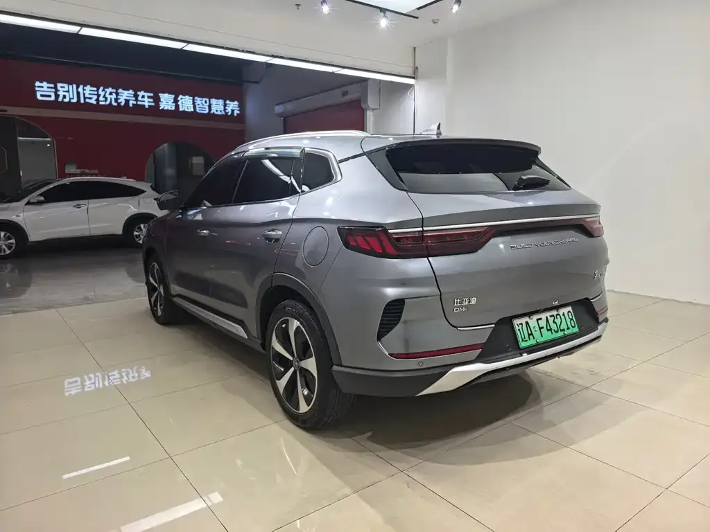 BYD PLUS New Energy 2023 из CN, фото 7