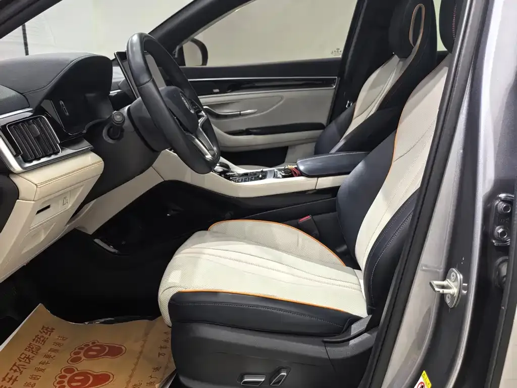 BYD PLUS New Energy 2023 из CN, фото 8