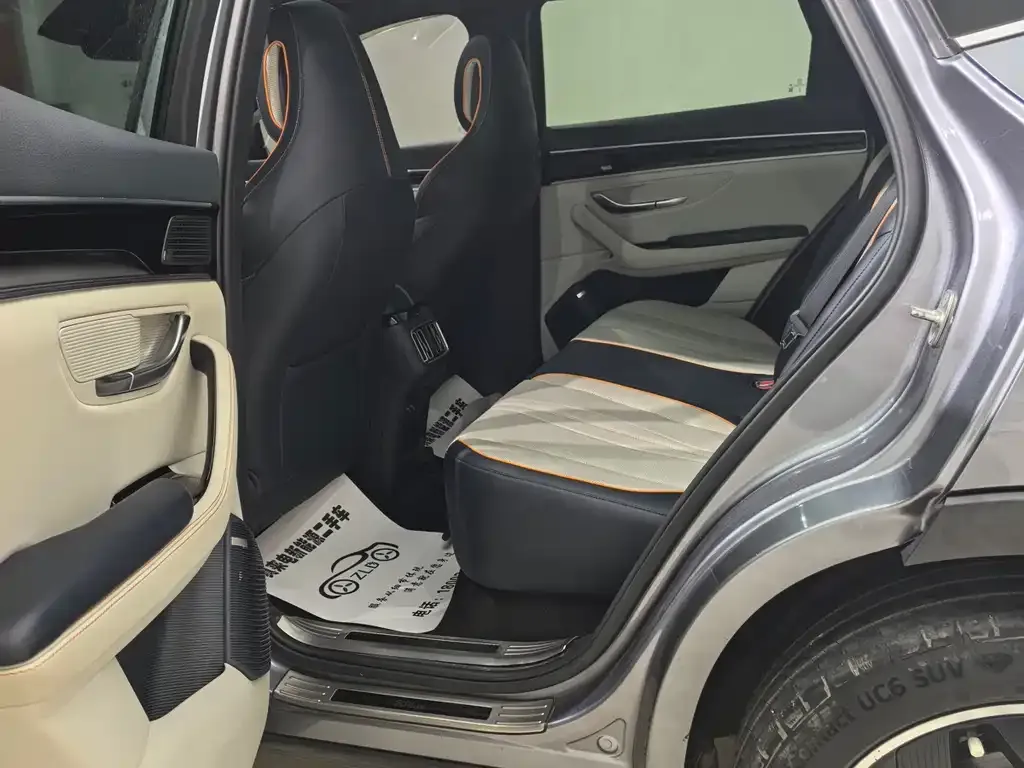 BYD PLUS New Energy 2023 из CN, фото 5