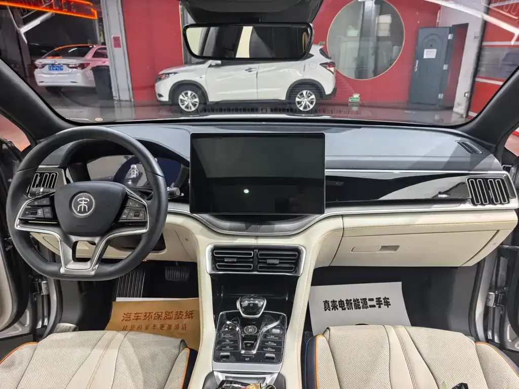 BYD PLUS New Energy 2023 из CN, фото 10