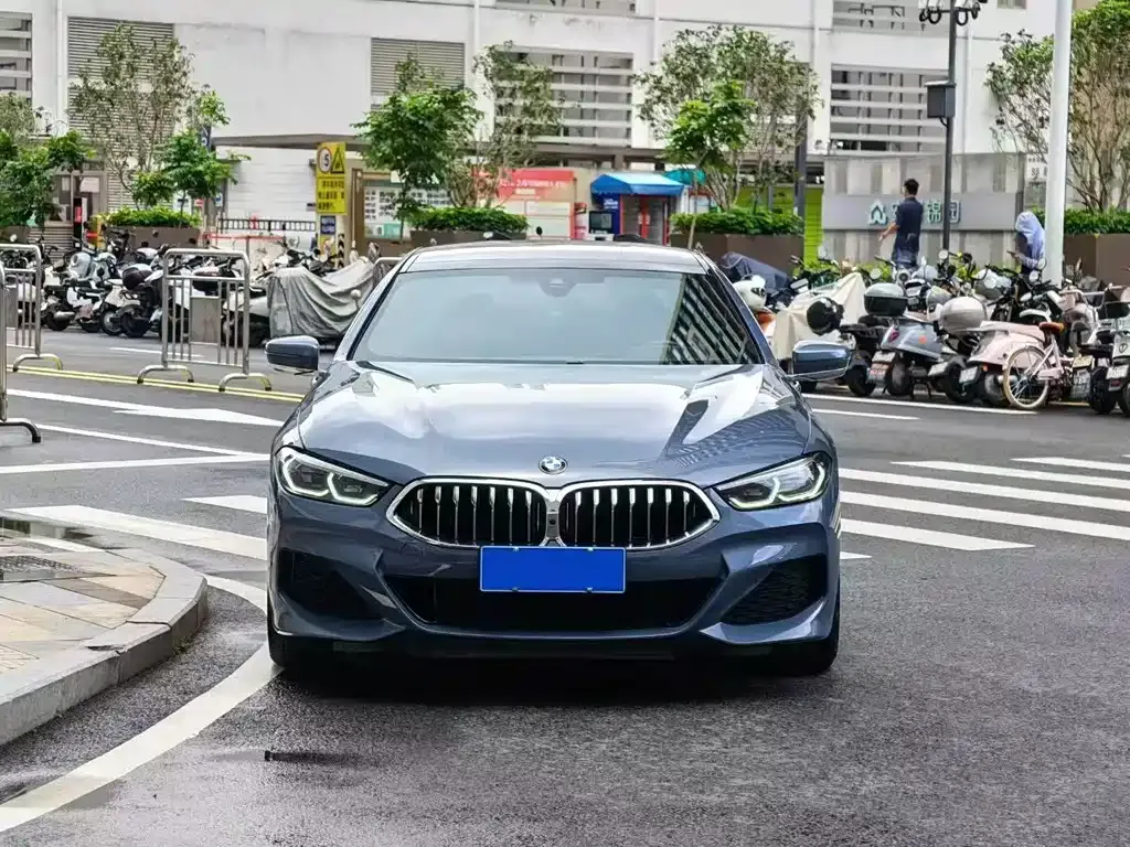 BMW 8 Series — фото 6