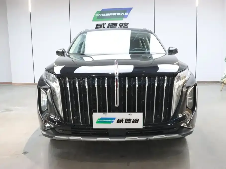 Hongqi HS7 PHEV 2024 из CN, фото 4