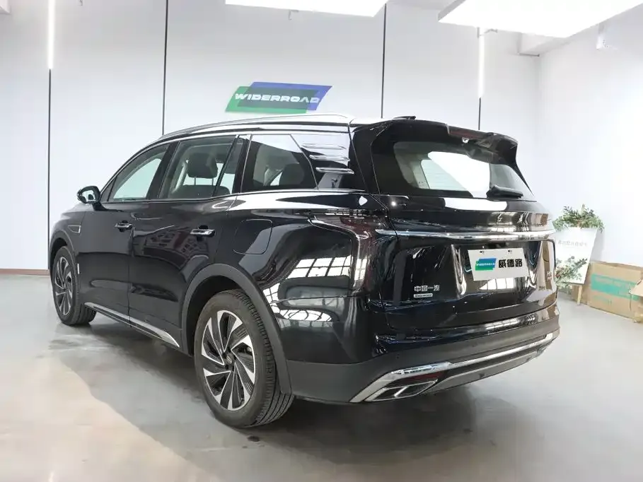 Hongqi HS7 PHEV 2024 из CN, фото 10
