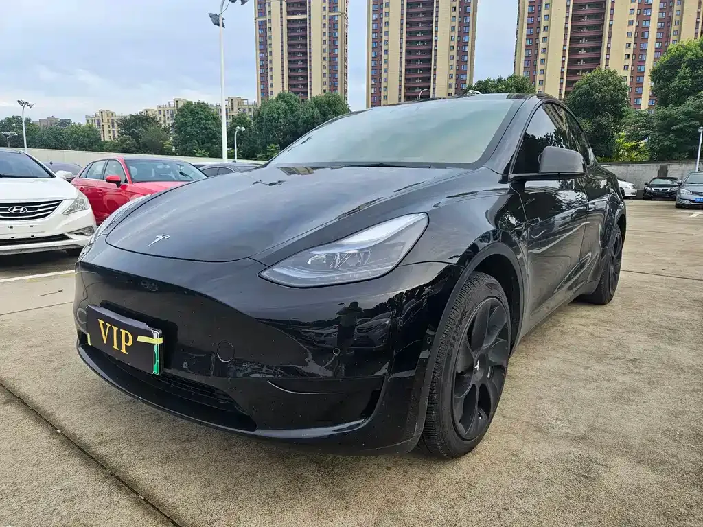 Tesla Model Y — фото 1