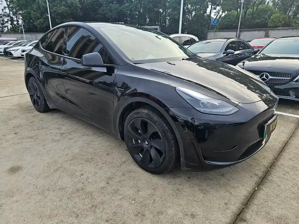 Tesla Model Y — фото 10